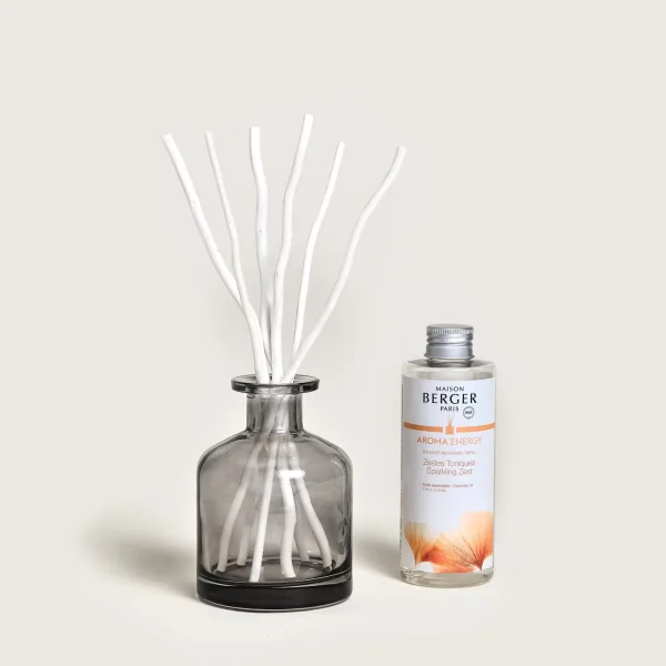 Mikado Maison Berger Aroma Energy 180 ml