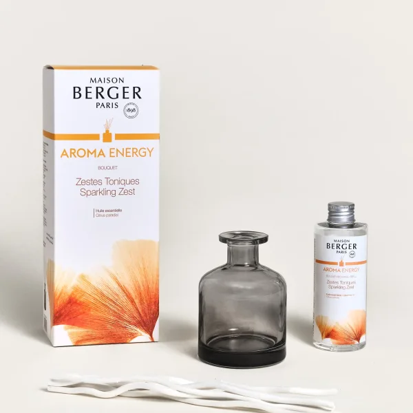 Mikado Maison Berger Aroma Energy 180 ml