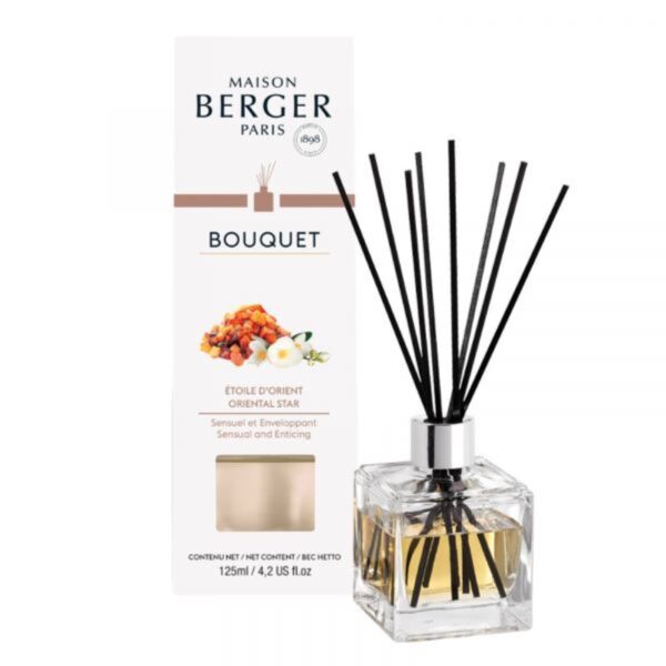 Mikado Maison Berger ETOILE ORIENT