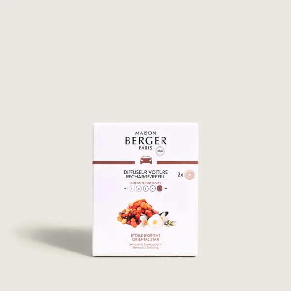 Recarga para Coche Maison Berger Étoile d’Orient