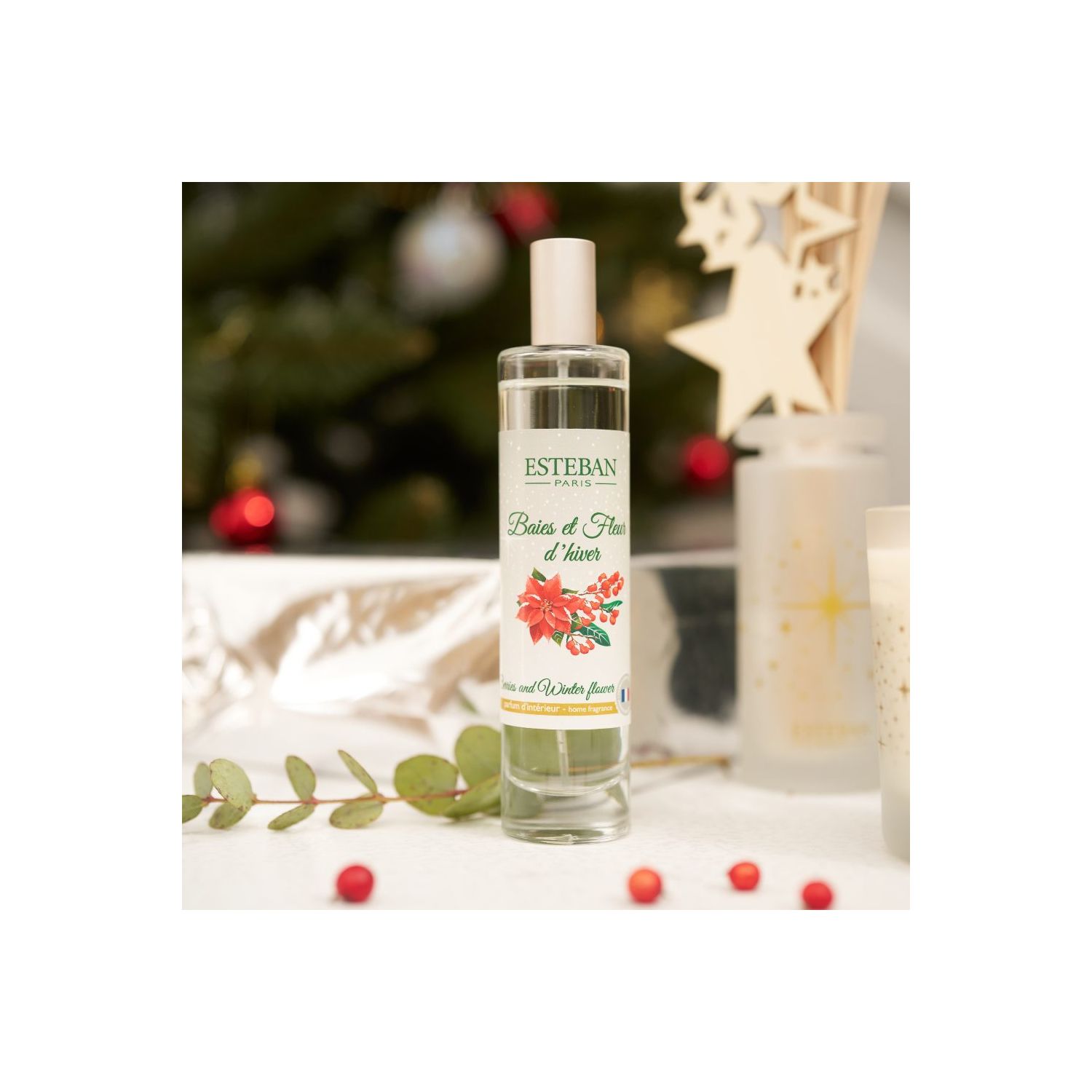 Spray Difusor ESTEBAN PARIS Baies et Fleur d´Hiver 75ml