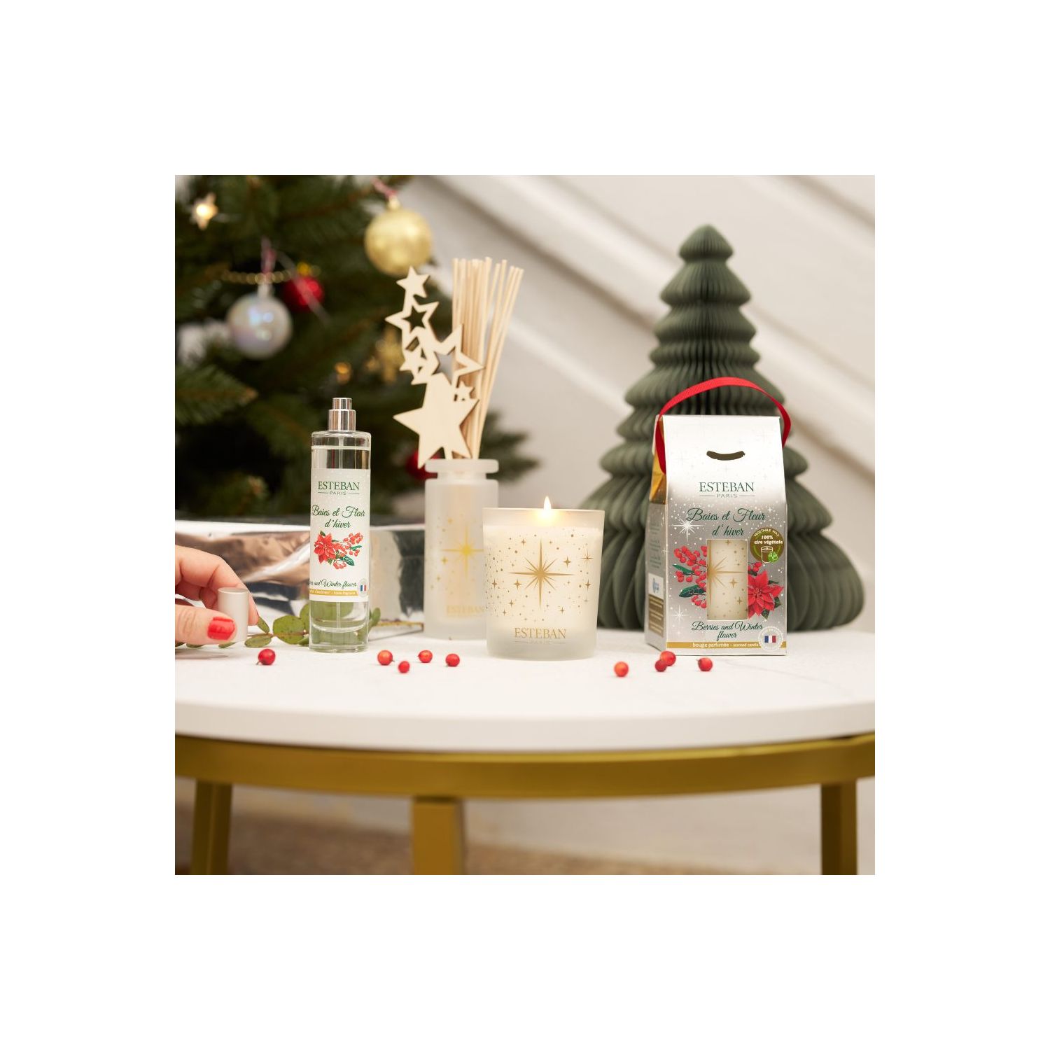 Spray Difusor ESTEBAN PARIS Baies et Fleur d´Hiver 75ml