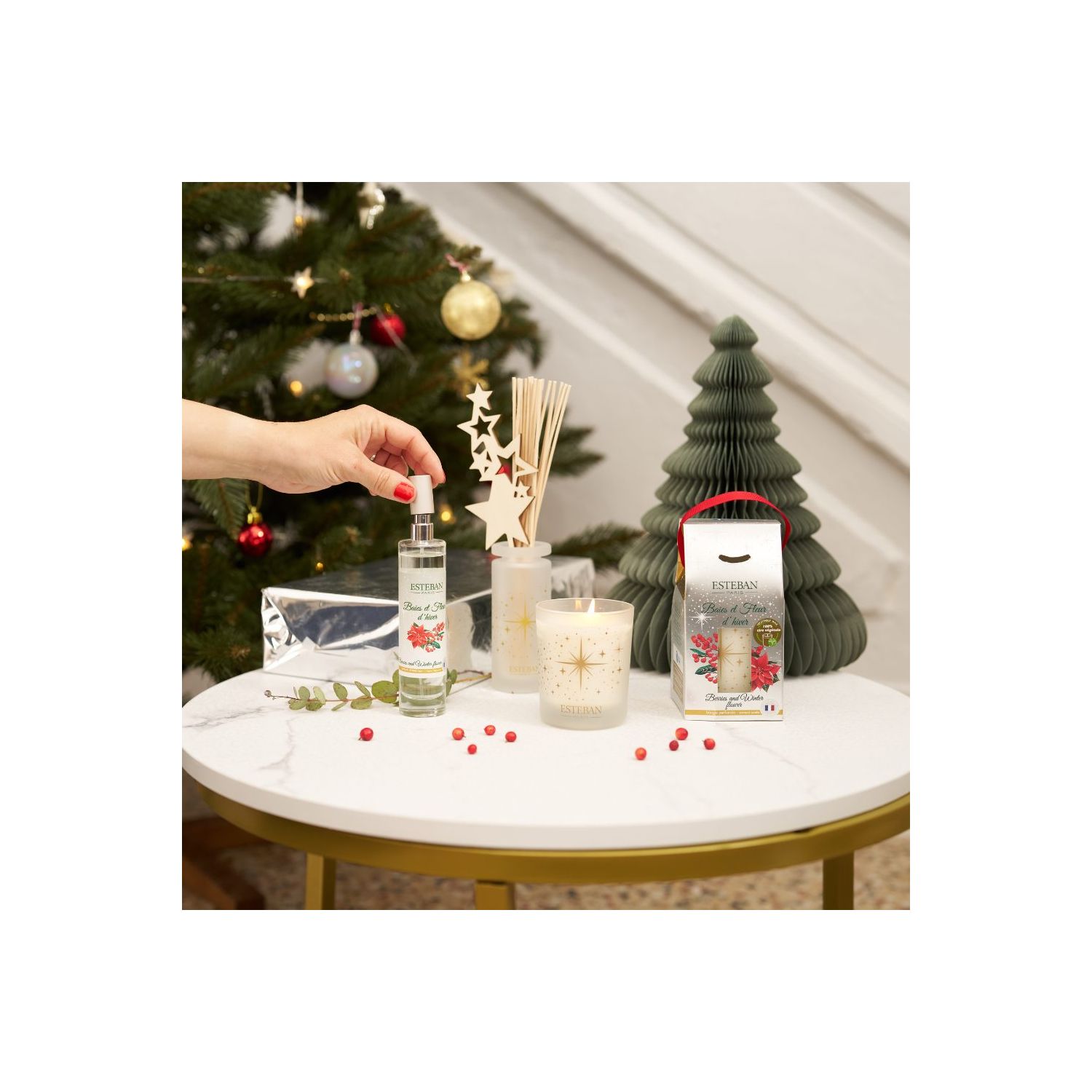 Spray Difusor ESTEBAN PARIS Baies et Fleur d´Hiver 75ml