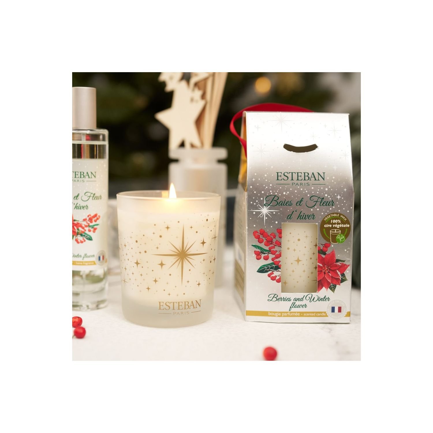 Vela Perfumada ESTEBAN PARIS Baies et Fleur d´Hiver
