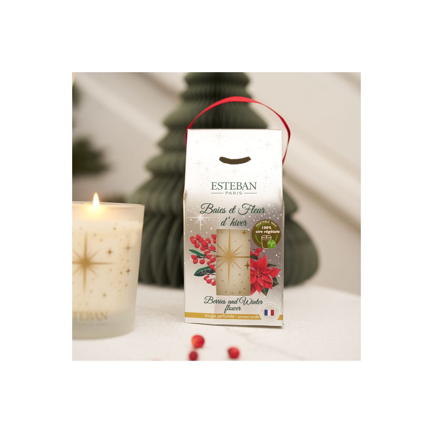 Vela Perfumada ESTEBAN PARIS Baies et Fleur d´Hiver