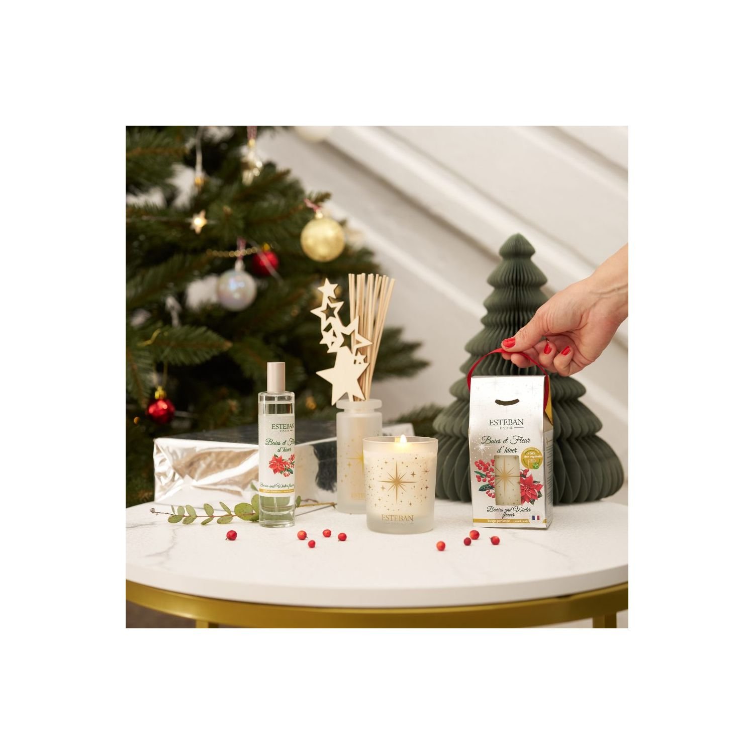 Vela Perfumada ESTEBAN PARIS Baies et Fleur d´Hiver
