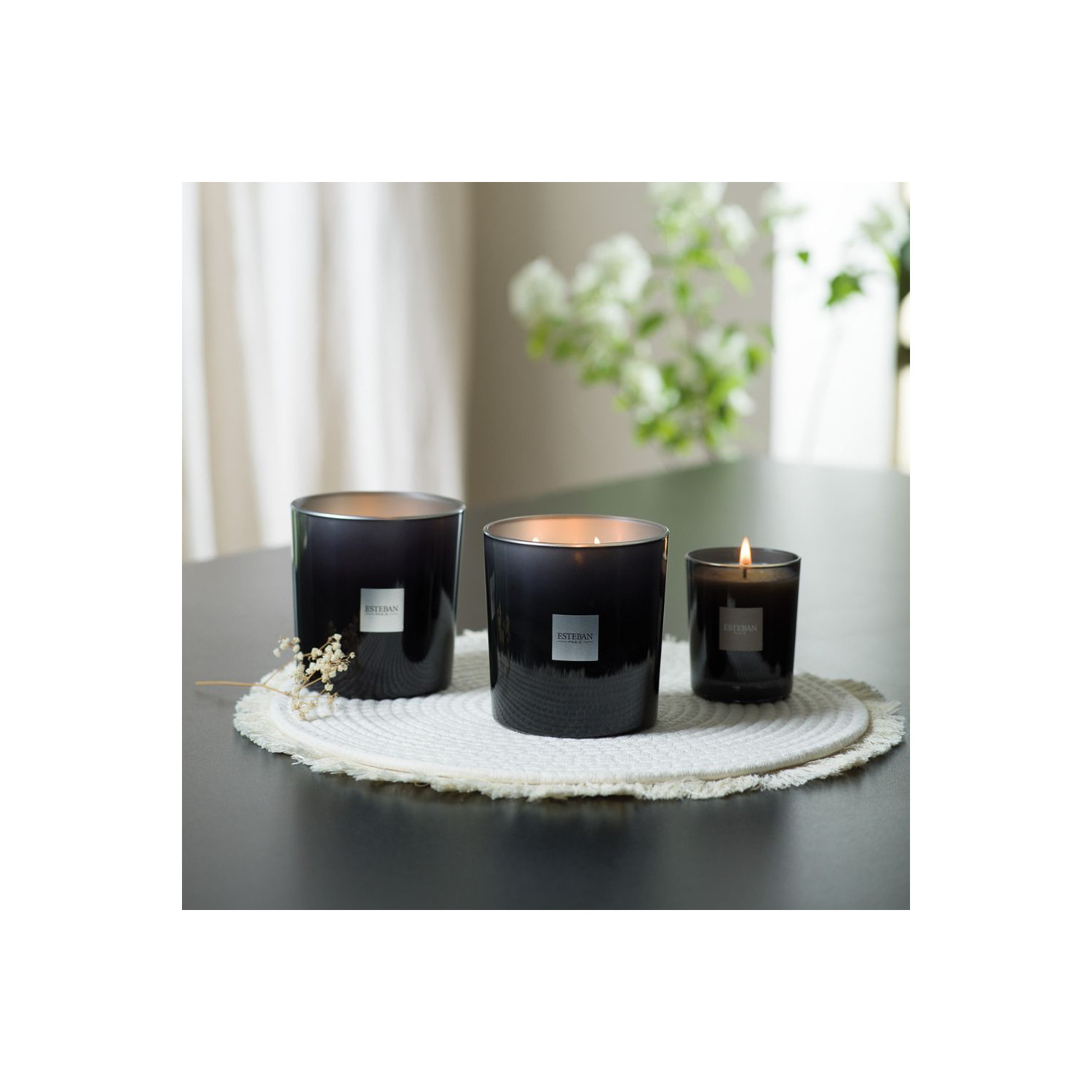 Vela Perfumada ESTEBAN PARIS Teck & Tonka 450g